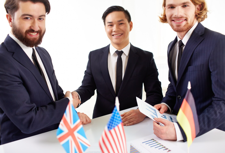 Professional immigration advisers